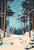 Pictufy Studio - Christmas Snowy forest