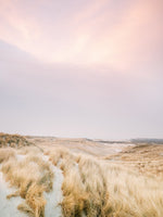 Raisa Zwart  - Ameland Dunes I