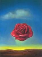 Rose Meditative I