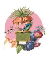 Marja van den Hurk - Colorful Bird Perched On A Box