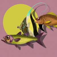 Marja van den Hurk - Three Exotic Fish