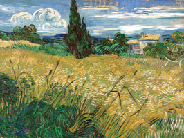 Campo di Grano
