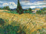 Campo di Grano