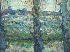 Blick auf Arles