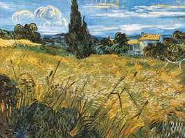 Campo di Grano - Vincent Van Gogh