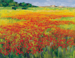 Amapolas IV - Jesús P. Camargo