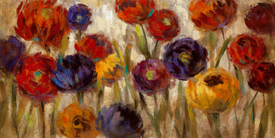 Asters and Mums - Silvia Vassileva