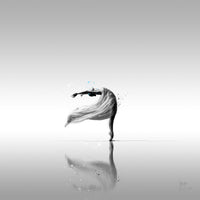 Le cygne blanc - Patrice Murciano