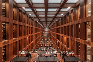Library in Berlin - Massimo Cuomo