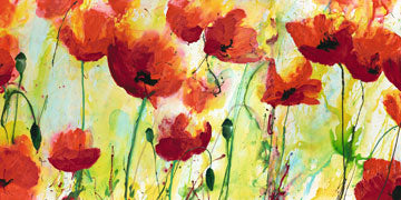 Mohnfeld - Heidi Reil