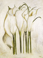 White Callas - Heidi Gerstner
