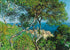 Paesaggio a bordighera - Claude Monet
