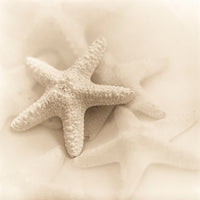 Il Oceano No. 1 von Alain Blaustein