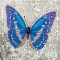 Blue Butterfly I