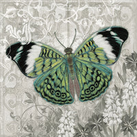 Green Butterfly I