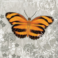 Orange Butterfly I