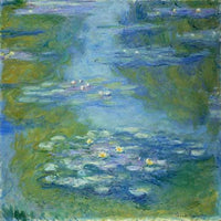 Seerosen (1.0)