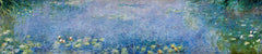 Seerosen (Crop)