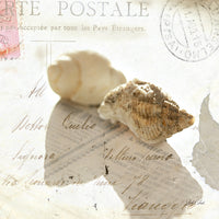 Postal Shells I