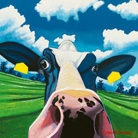 Cow II - NOSEY COW