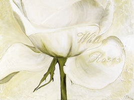 White Roses II