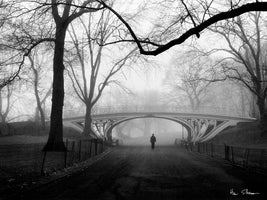 Gothic Bridge, Central Park NYC