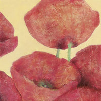 Squared Poppies II