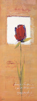 Tulipan I