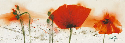 Coquelicots au vent IV