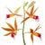 Flower von Micha Pawlitzki