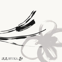 Ryuka III