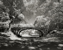Central Park Bridge