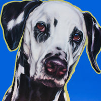 Chet blau - Der Hund von Renate Berghaus