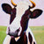 Karla - Die Kuh von Renate Berghaus