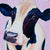 Olivia - Die Kuh von Renate Berghaus 