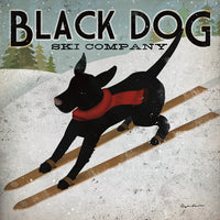 Black Dog Ski 1.0