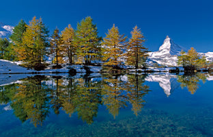 Matterhorn with larches I