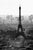 Eiffel Aerial von Jody Stuart