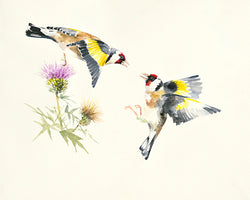 Goldfinches von Hilary Mayes