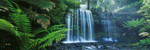 Russel Falls I von John Xiong
