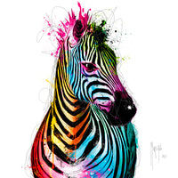 Zebra Pop